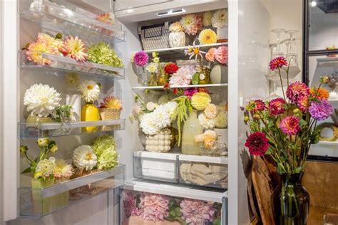 Can I Keep Flowers in the Fridge? And Why Do They Whisper Secrets to the Butter?