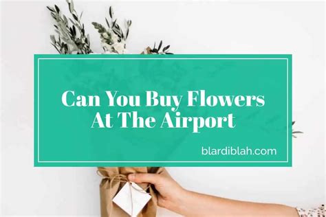 Can You Buy Flowers at the Airport? And Why Do Airports Smell Like Freshly Baked Cookies?