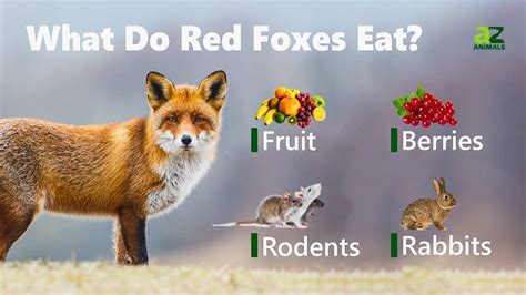 Do Foxes Eat Flowers? Exploring the Unlikely Connection Between Foxes and Floral Diets