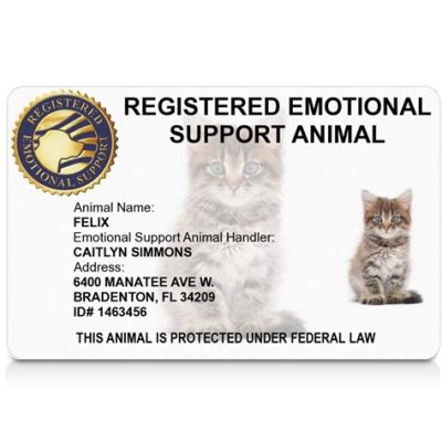 Do you have to register an emotional support animal, or can you just wing it with a goldfish in a backpack?