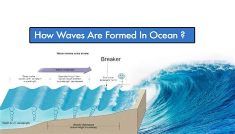 How Far Does a Wave Travel in One Period? And Why Do Waves Sometimes Feel Like They Have a Sense of Humor?