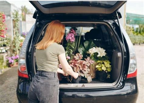 How Long Can I Leave Flowers in the Car: A Journey Through Time and Temperature