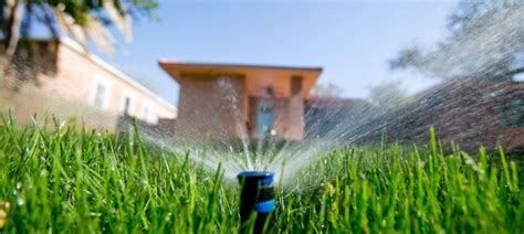 How Much Does Sprinkler Repair Cost? Exploring the Intricacies of Lawn Care Economics