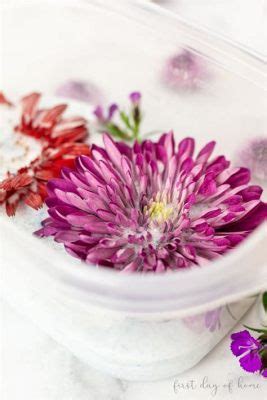 How to Preserve and Press Flowers: A Journey Through Time and Petals