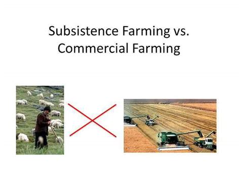 Is Livestock Ranching Subsistence or Commercial? Exploring the Dual Nature of an Age-Old Practice