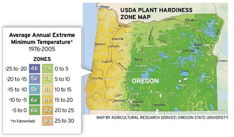 What Gardening Zone is Portland Oregon? And Why Do Pineapples Dream of Electric Sheep?