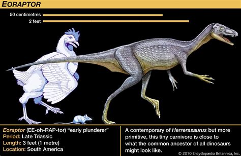 What is the closest animal to a dinosaur, and why do they still dream of flying?