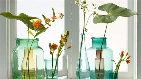 What to Put in Vases Besides Flowers: Exploring Creative and Unexpected Ideas