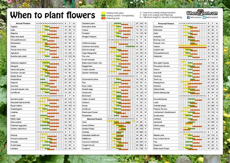 When to Plant Flowers in Texas: A Symphony of Seasons and Whimsical Wisdom